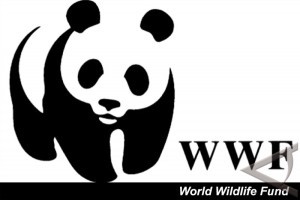 World-Wild-Life-Fund